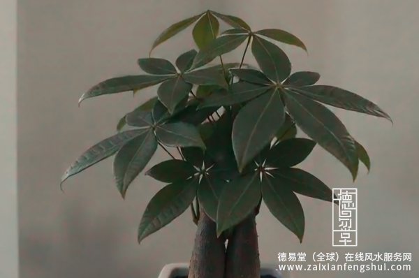 封图.png