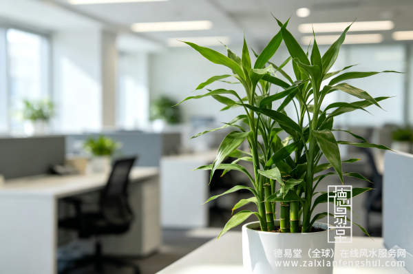 1789695927942143.png 配图.png